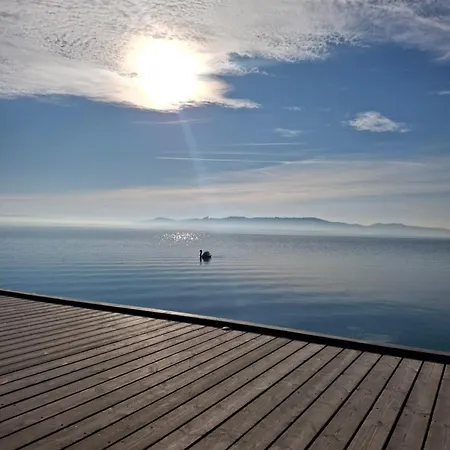 Daire Hortensia Aszofo