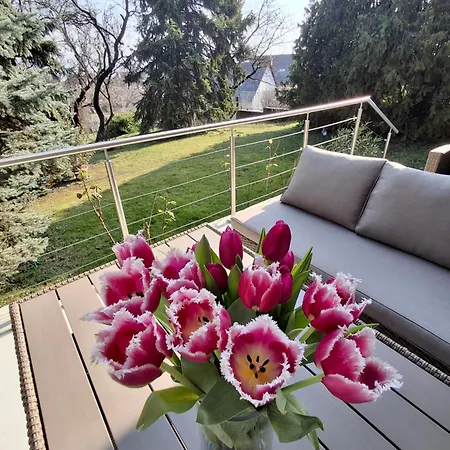 Hortensia * Aszofo