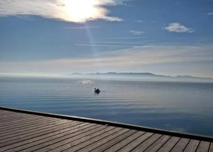 Daire Hortensia Aszofo